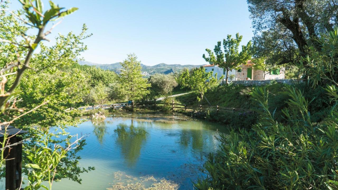 Villa Elia Lambini Exterior photo