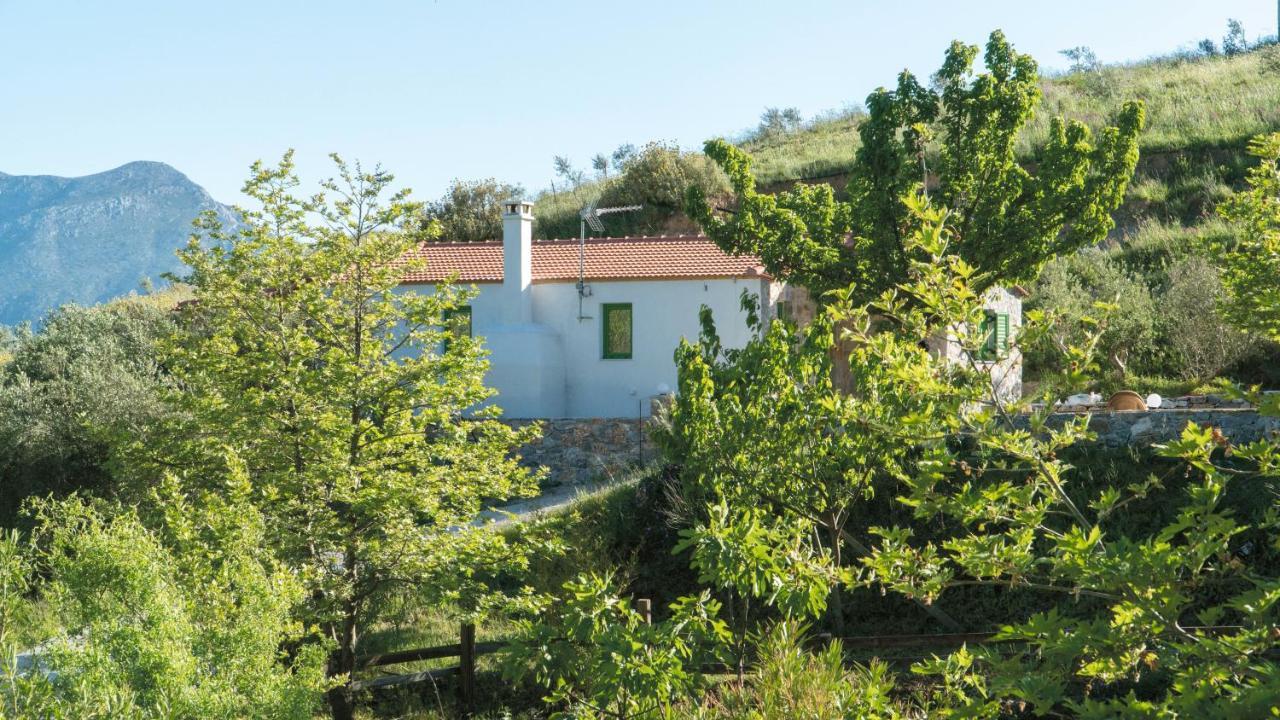 Villa Elia Lambini Exterior photo