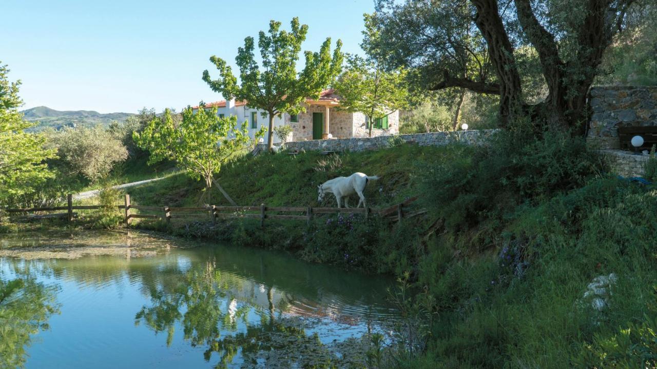 Villa Elia Lambini Exterior photo